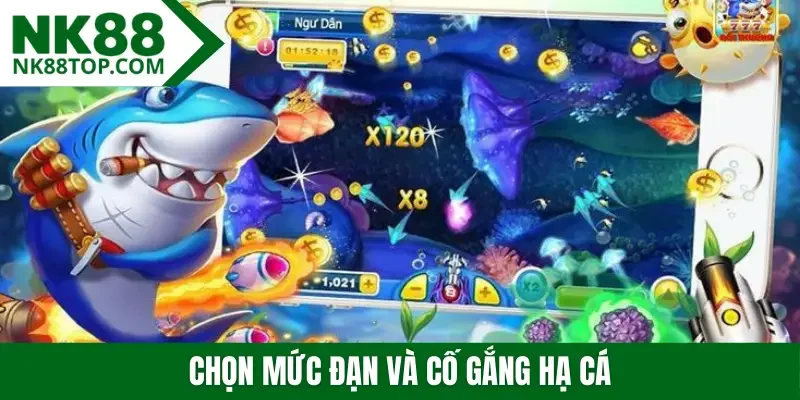 Chọn mức đạn và cố gắng hạ cá